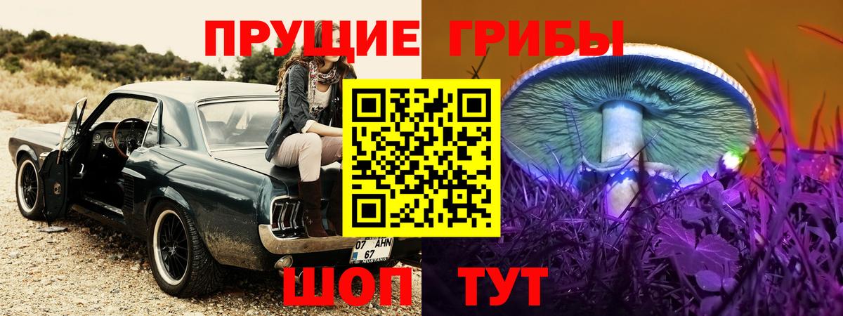 Псилоцибиновые грибы GOLDEN TEACHER Нягань