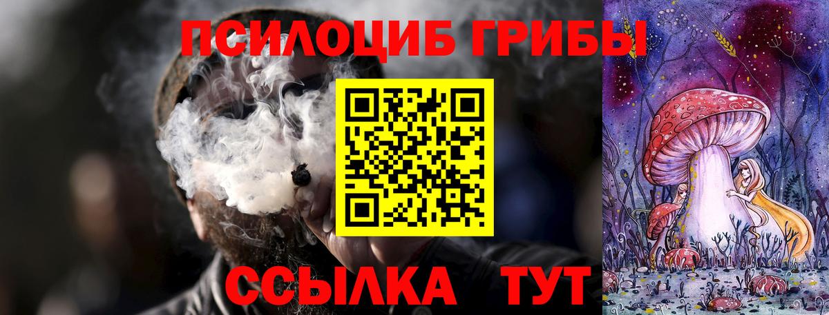 Псилоцибиновые грибы GOLDEN TEACHER  где продают наркотики  Нягань  Вход с VPN 